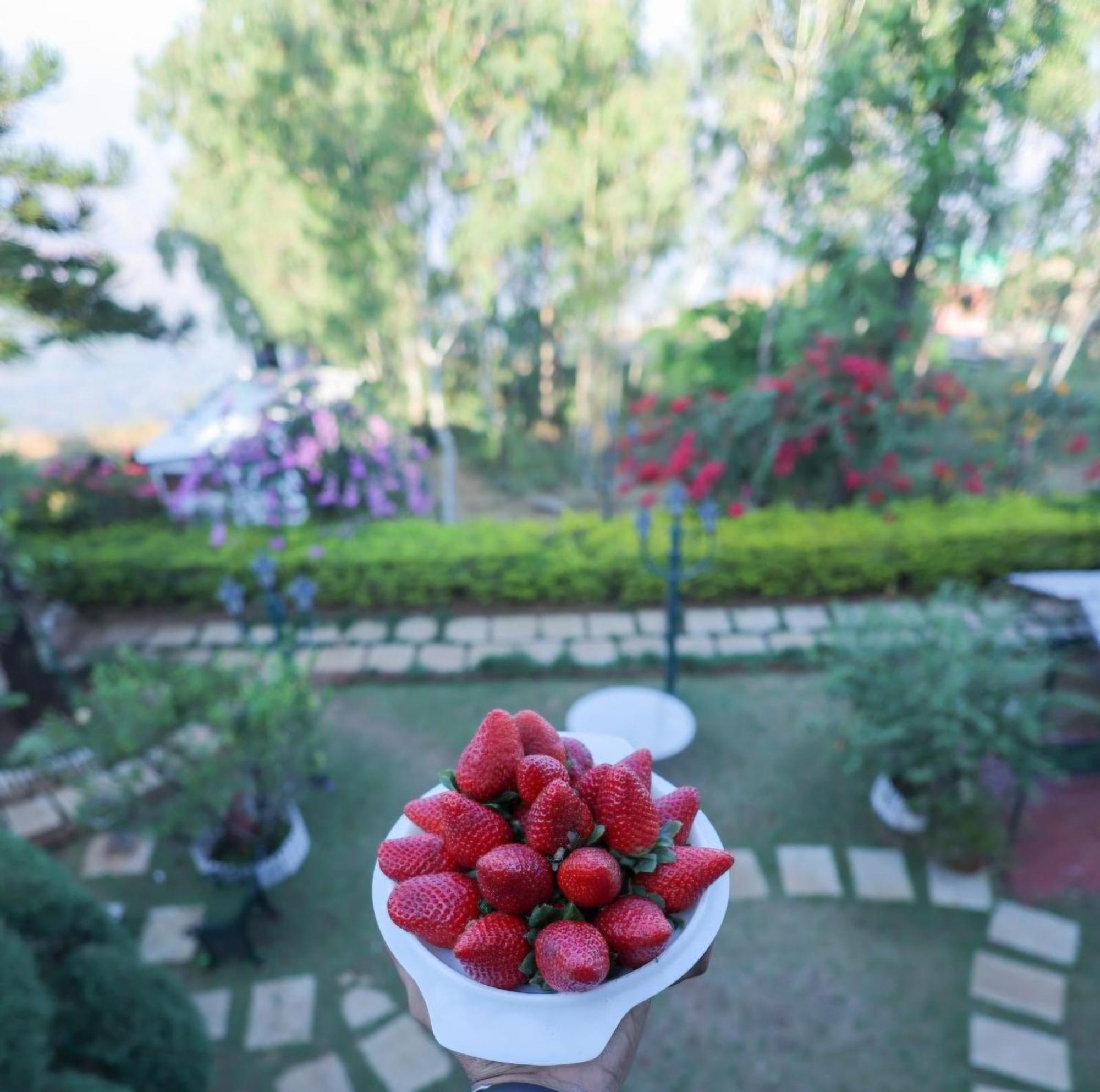 Valleycrest Villa With Swimming Pool Mahabaleshwar Bagian luar foto